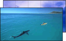 2019年，液晶拼接屏廠家如何贏來市場前景？